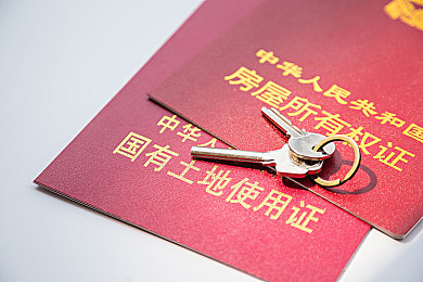 区委书记吴昊深入梅里斯镇调研