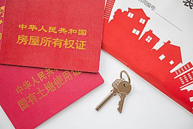 衡水为儿办户口单身母亲千里寻夫上
